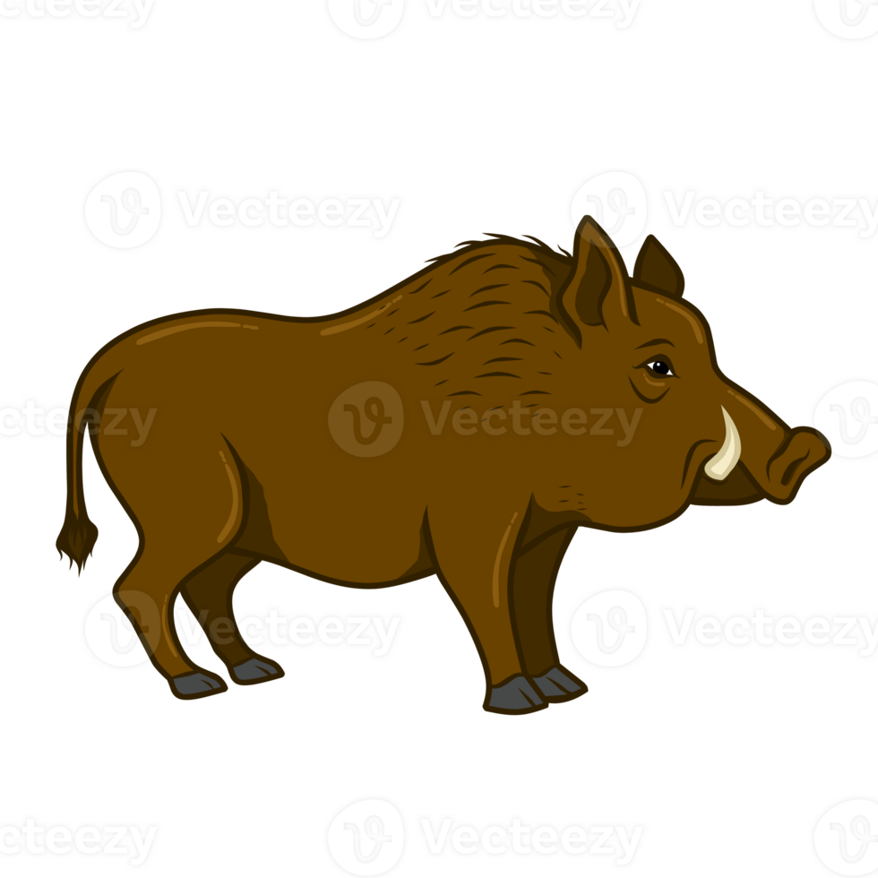 sketch illustration of boar png