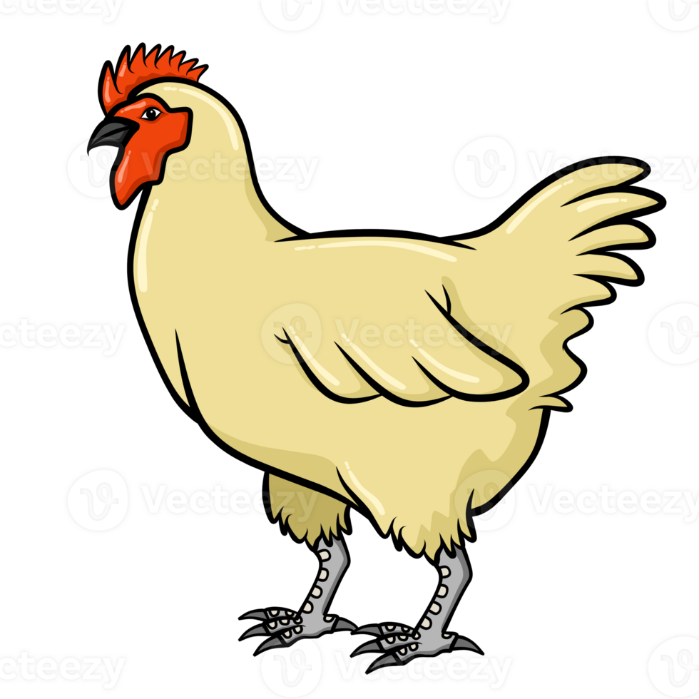 rooster isolated isolated png