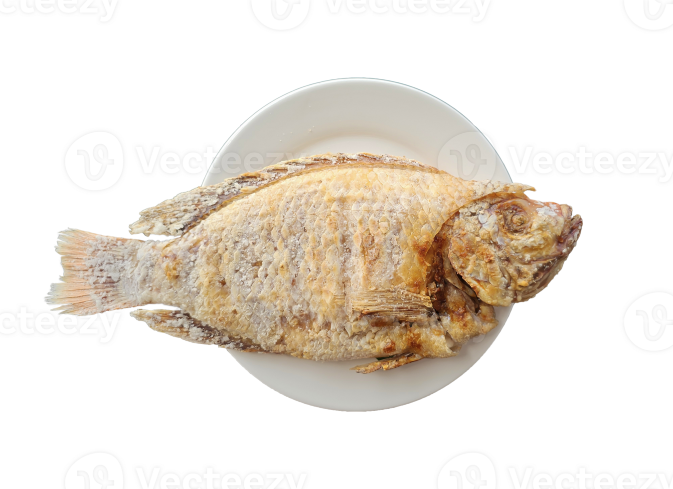 salt crusted grilled Red Tilapia fish on a white plate. high angle view. on transparent background png
