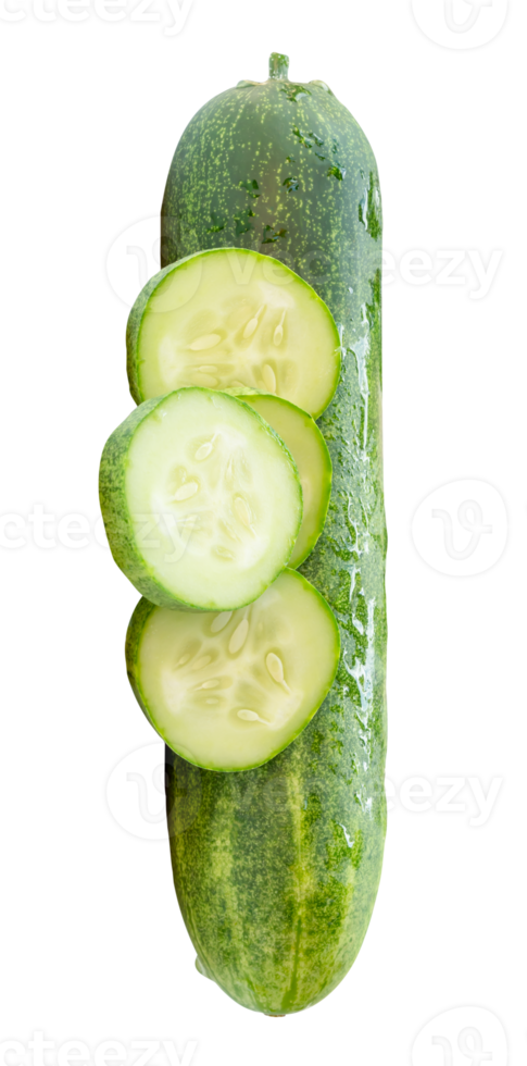 Top view of fresh green cucumber with slices in circle shape in stack isolated with clipping path in file format png