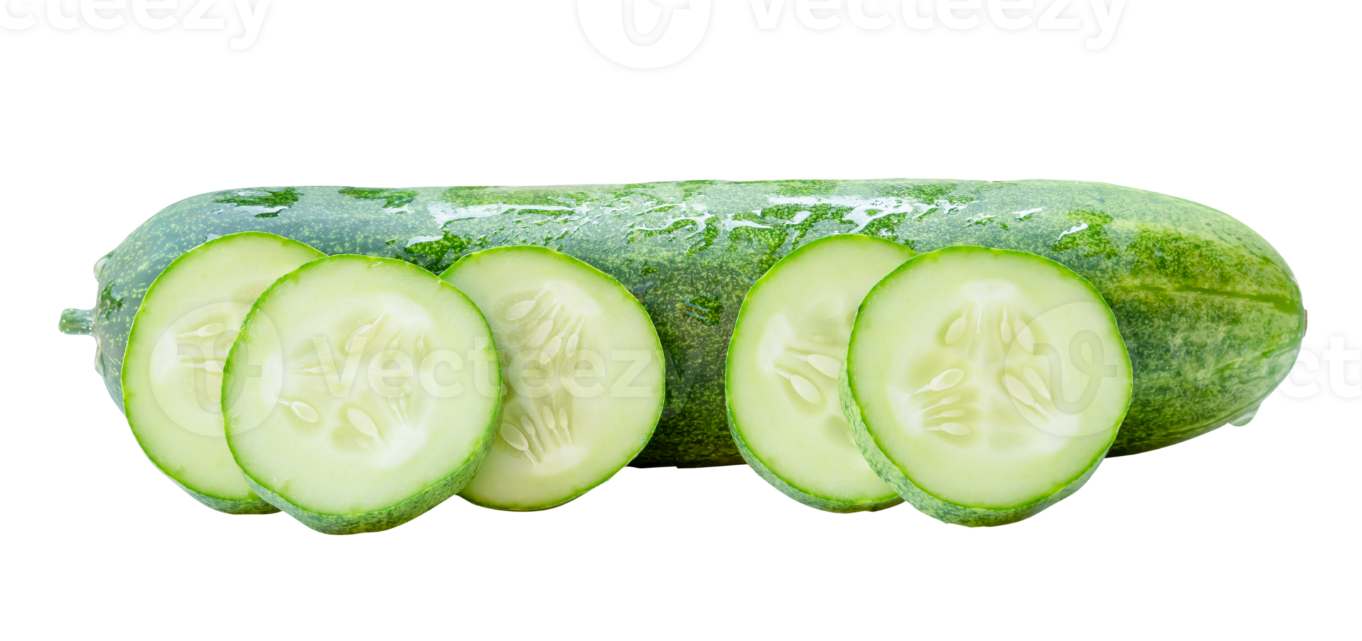 Side view of fresh green cucumber with slices in circle shape in stack isolated with clipping path in file format png