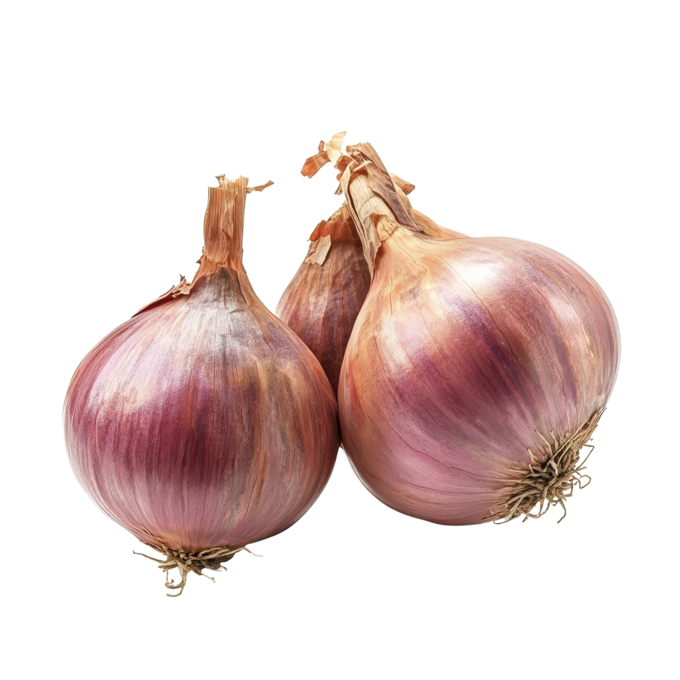 Juicy onion bulbs isolated on a bright transparent background ready for culinary use in various dishes, Onion bulbs isolated on transparent background png