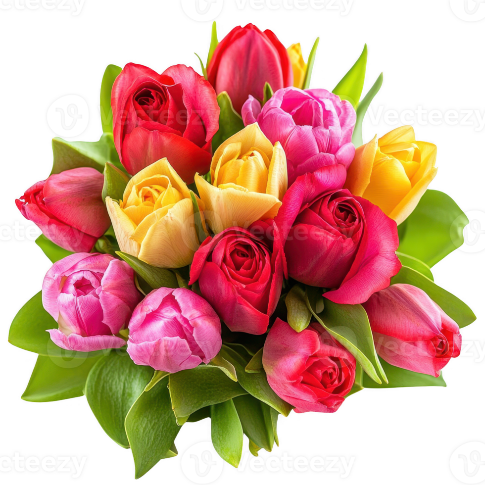 Beautiful bouquet of colorful tulips and roses with green leaves. Isolated on transparent background. png