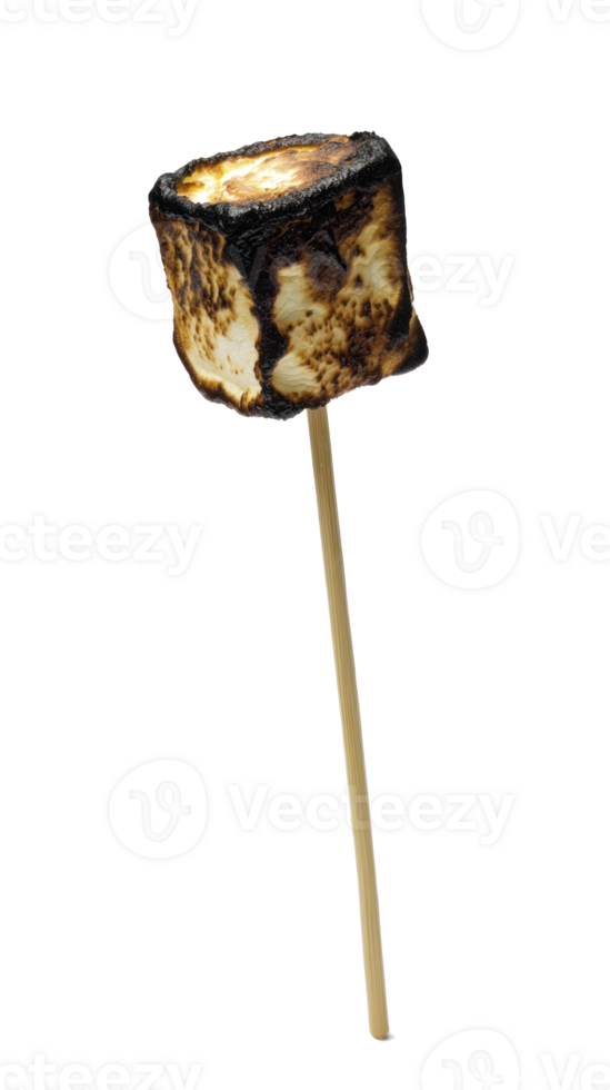 Burned marshmallow on stick isolate on transparent background png