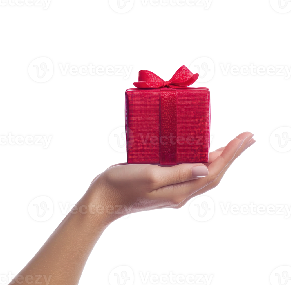 Hand holding red gift box isolate on transparent background png