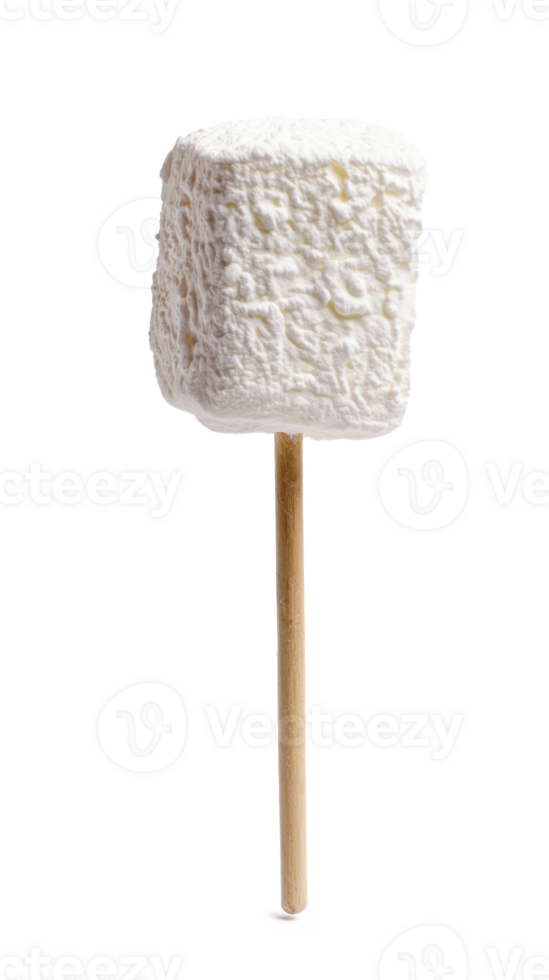 marshmallow on stick isolate on transparent background png