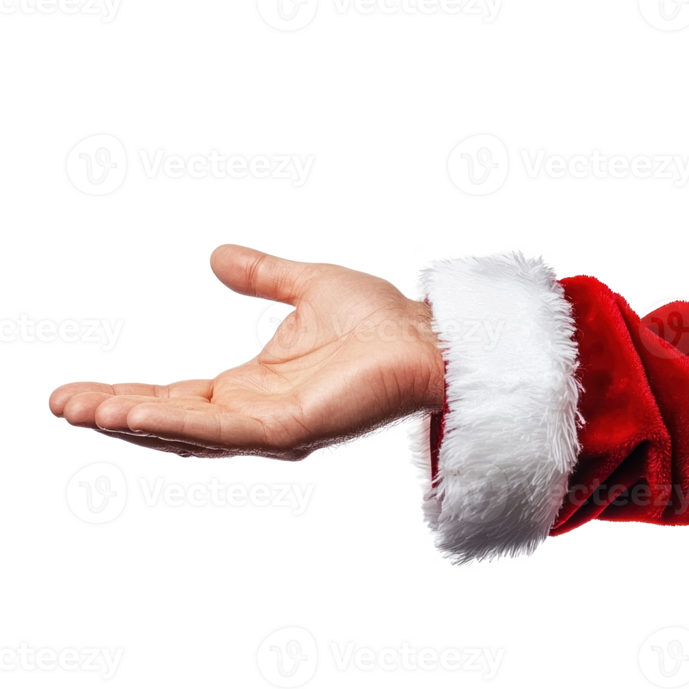 Santa Claus's hand holding empty isolate on transparent background png
