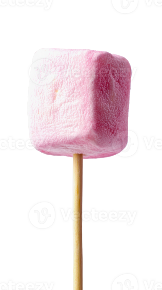 marshmallow on stick isolate on transparent background png