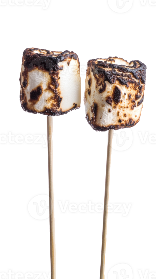 Burned marshmallows on sticks isolate on transparent background png