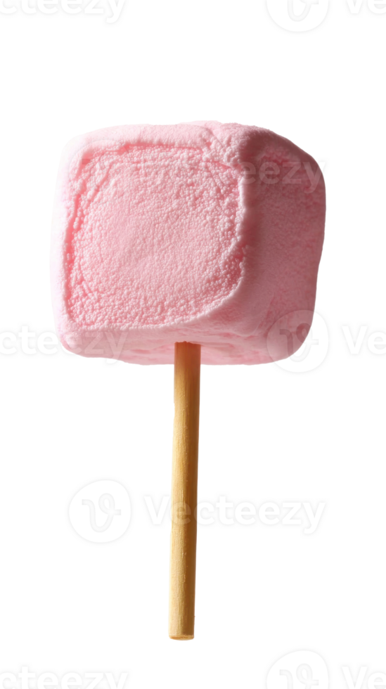 marshmallow on stick isolate on transparent background png