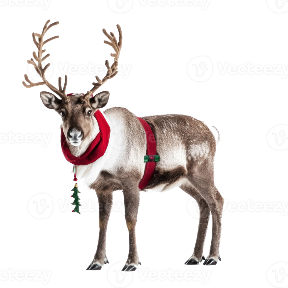 Santa Reindeer side view full length isolate on transparent background png