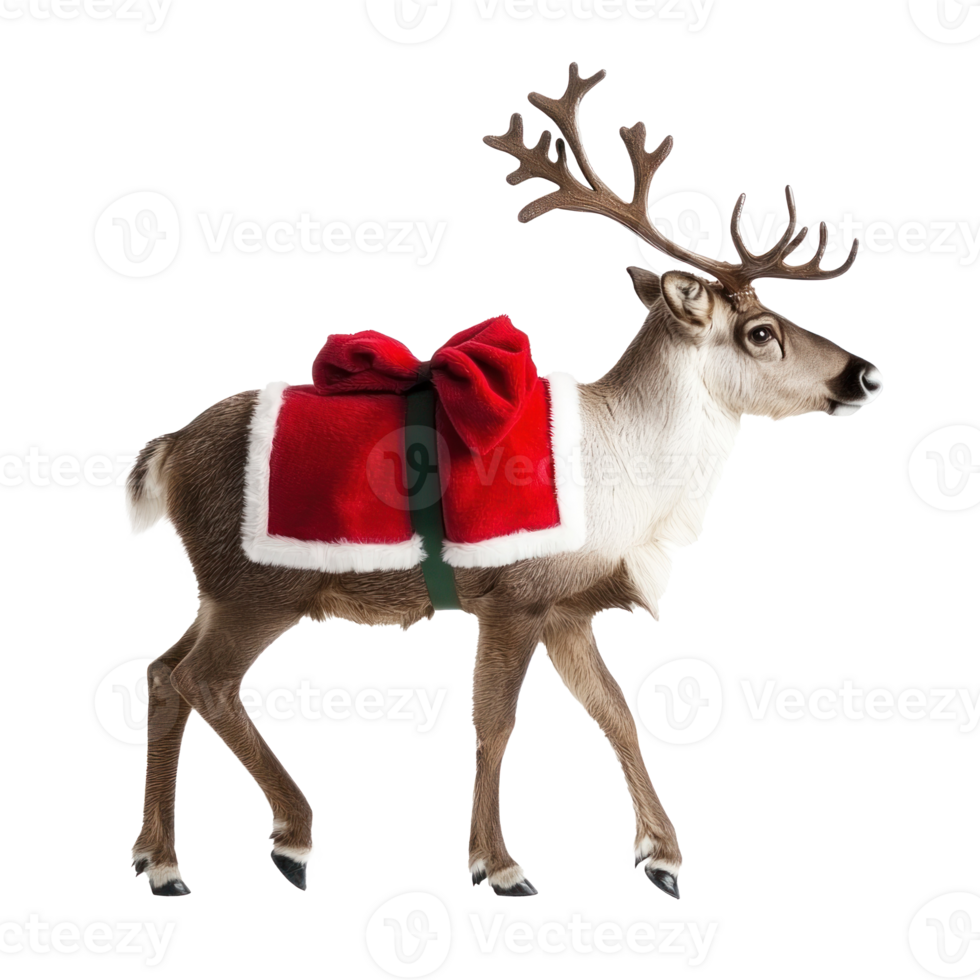Santa Reindeer side view isolate on transparent background png