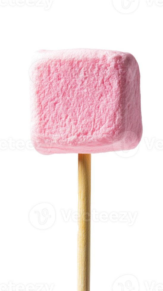 Marshmallow on stick isolate on transparent background png