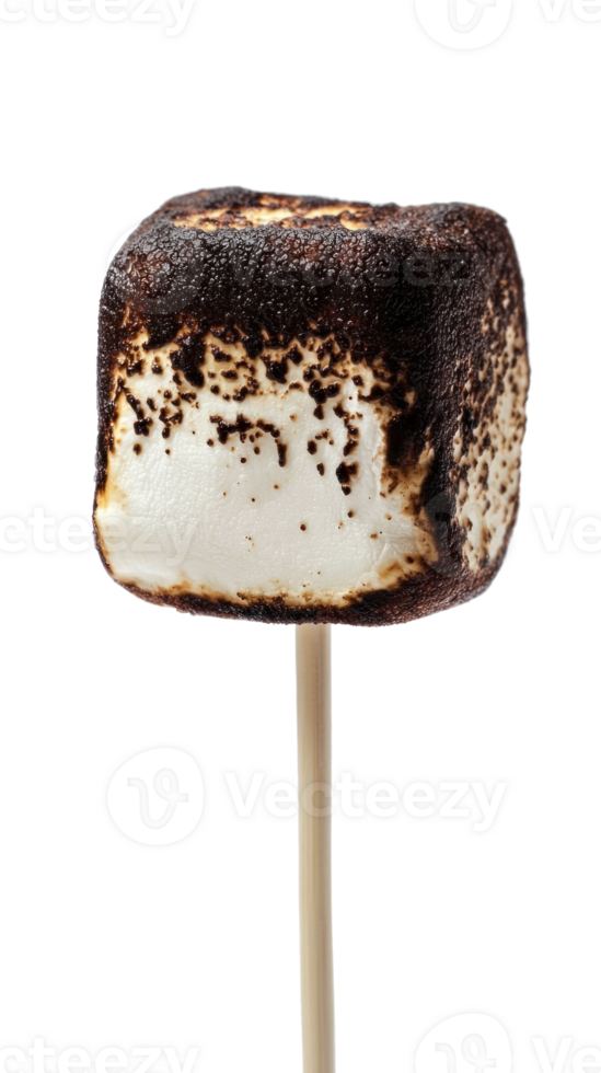 Burned marshmallow on stick isolate on transparent background png