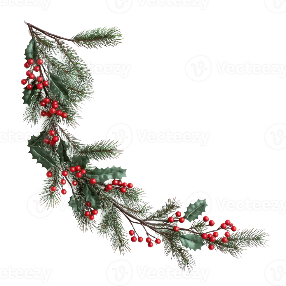 Christmas corner branches and holly with red berries isolate on transparent background png