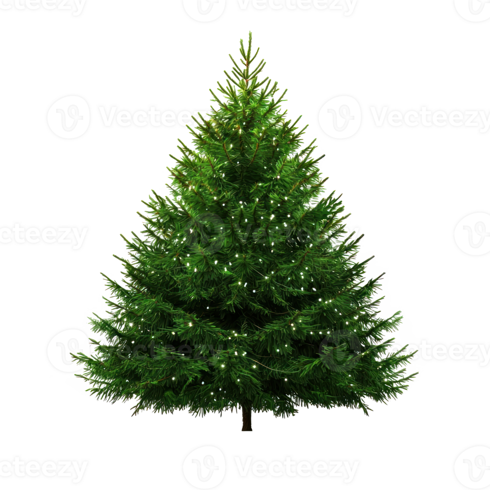 Christmas tree front view isolate on transparent background png