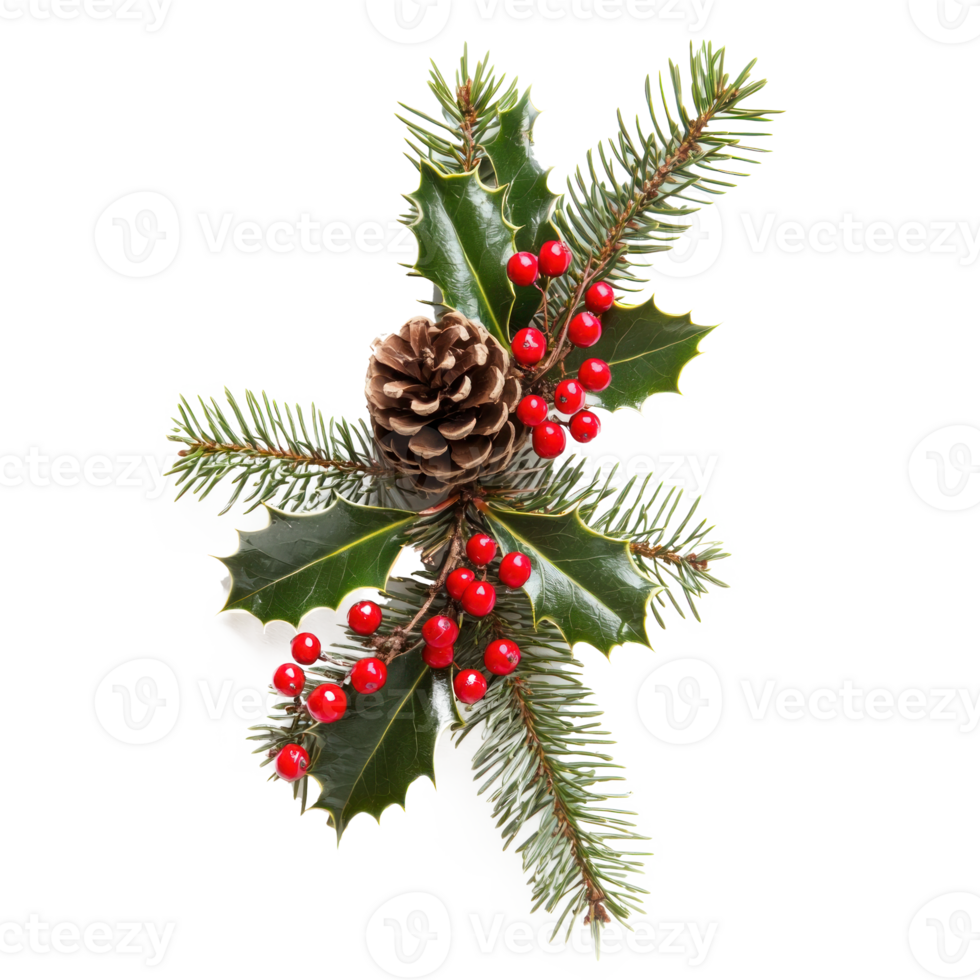 Christmas composition of pine branches with red berries, holly and pine cones isolate on transparent background png