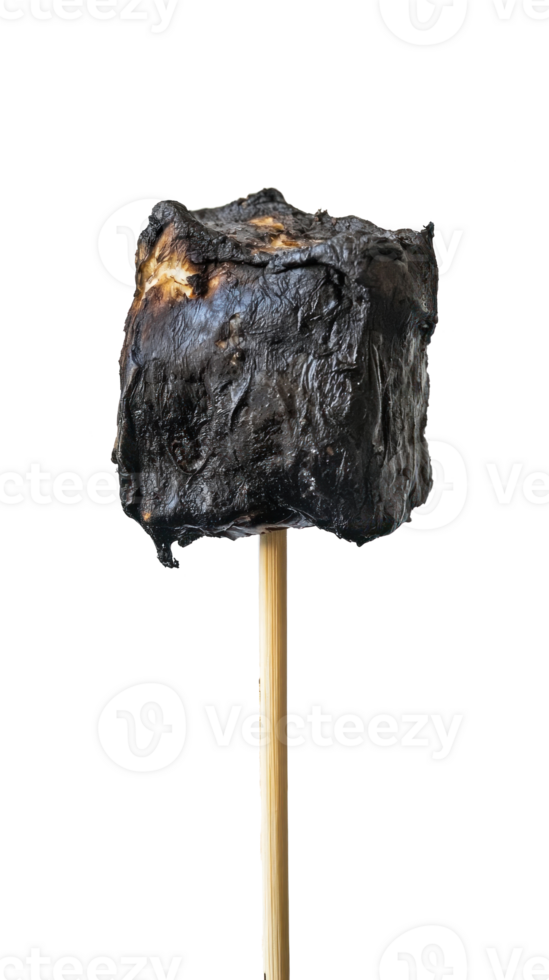 Burned marshmallow on stick isolate on transparent background png