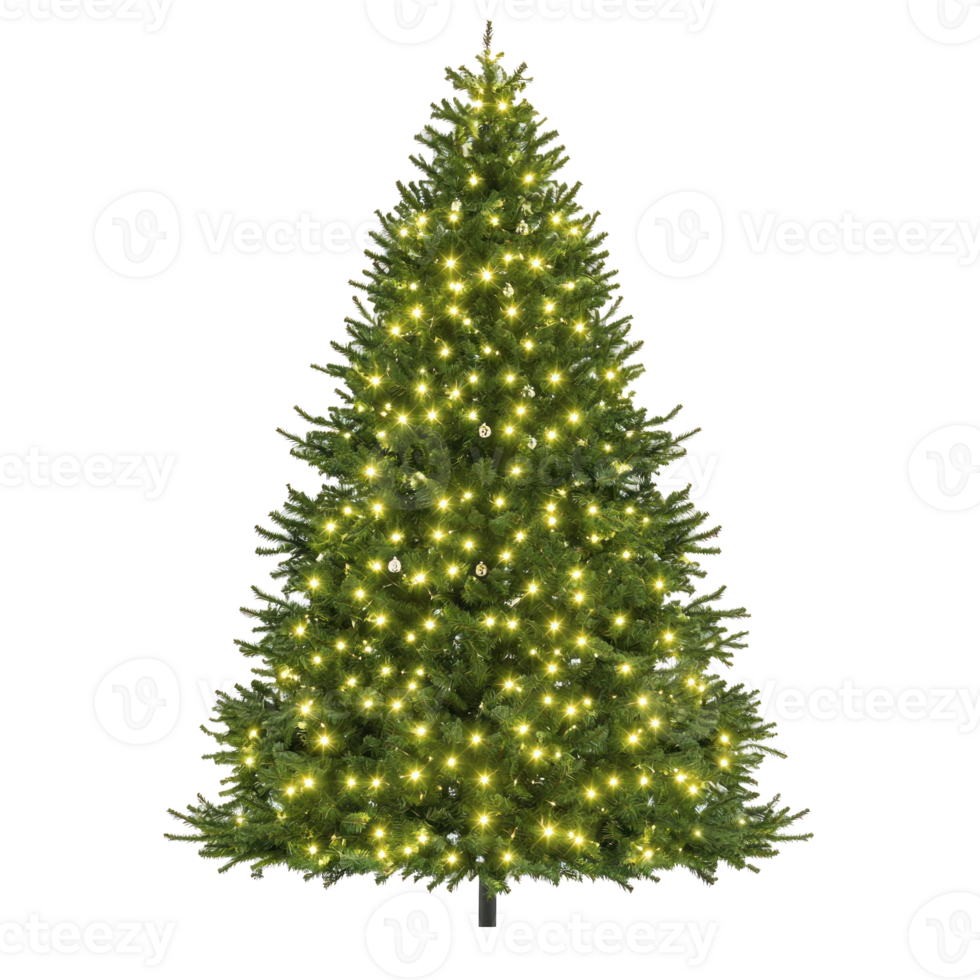 Illuminated Christmas tree front view isolate on transparent background png
