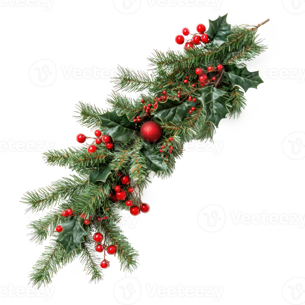 Christmas pine and holly swag isolate on transparent background png