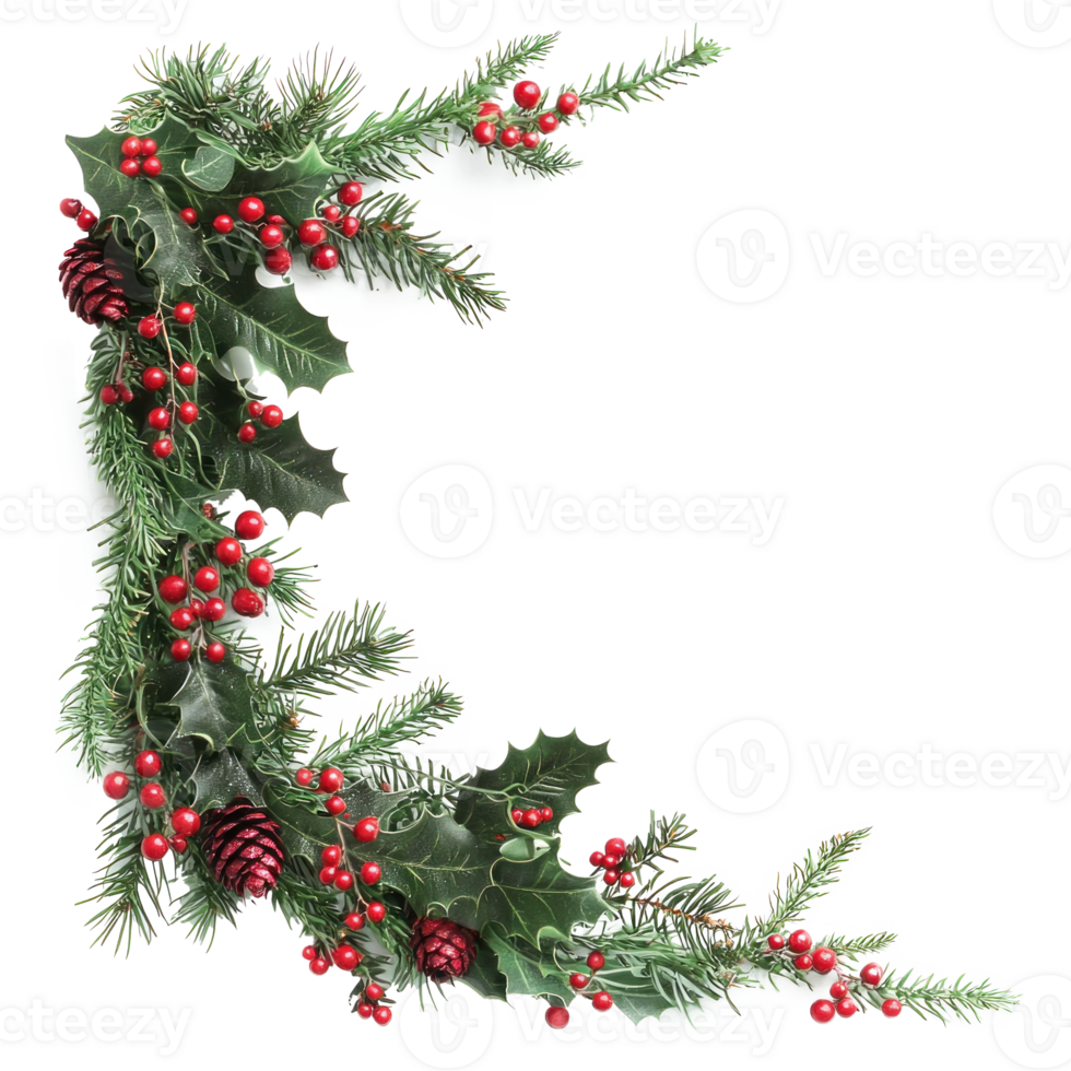 Christmas corner branches and holly with red berries isolate on transparent background png