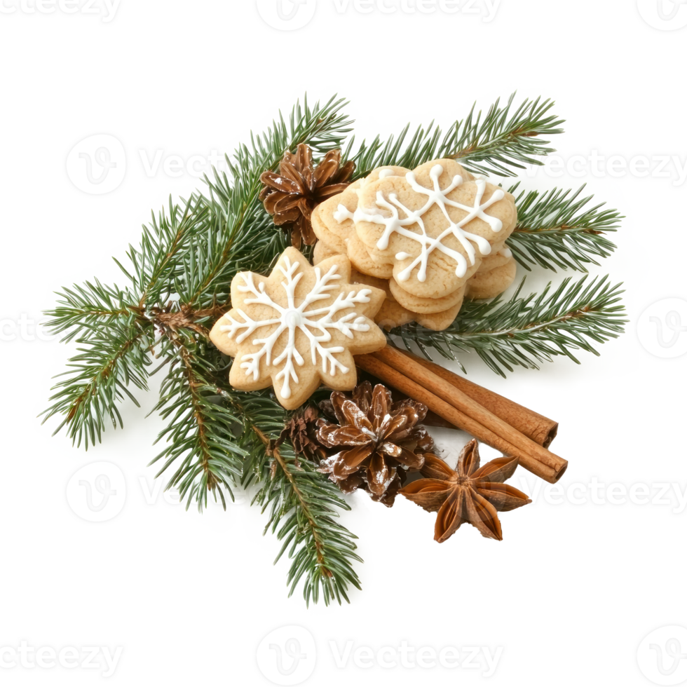 Christmas pine with frosted sugar cookies and cinnamon and fir branch isolate on transparent background png