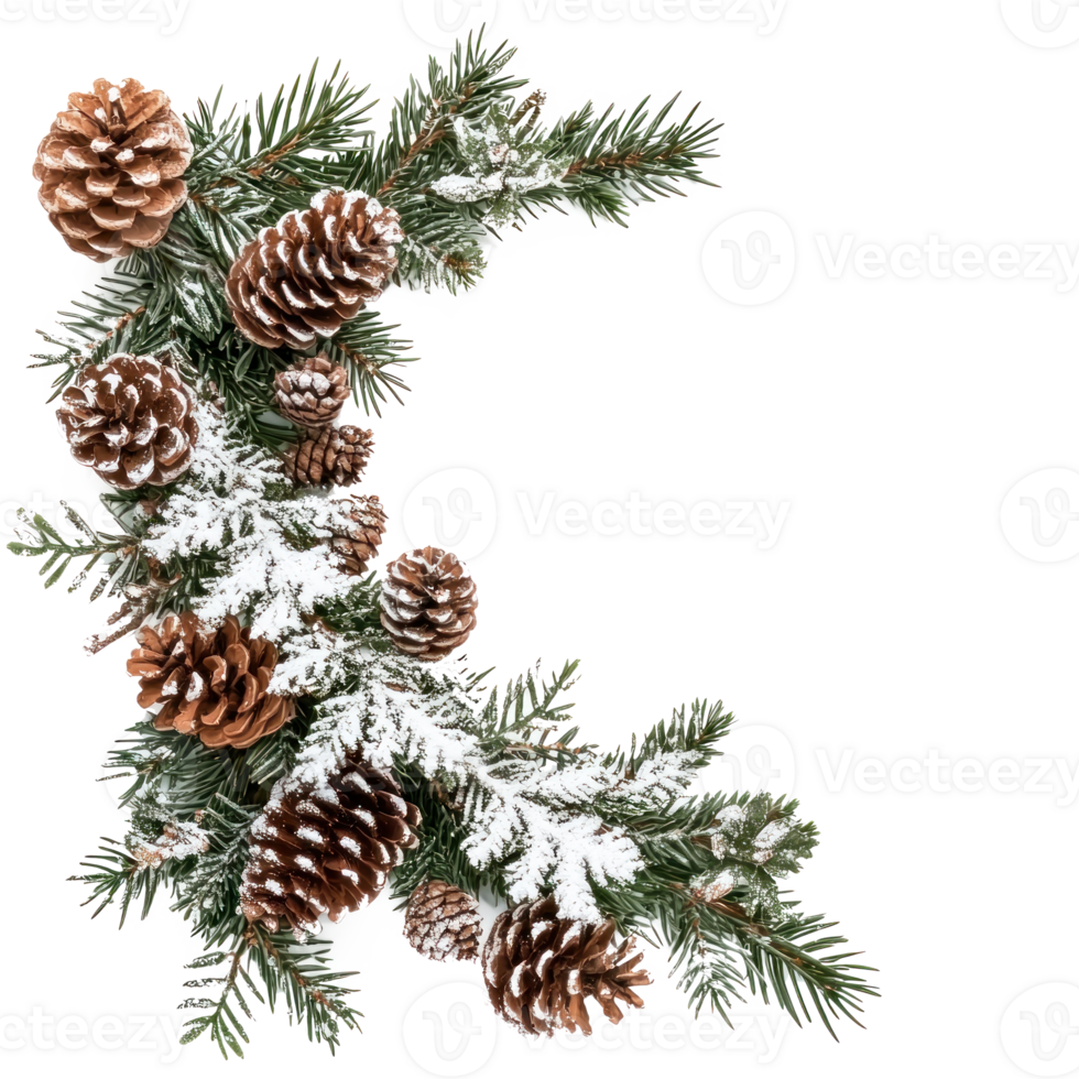 Corner Christmas Fir Branches with Snow and Pine Cones isolate on transparent background png