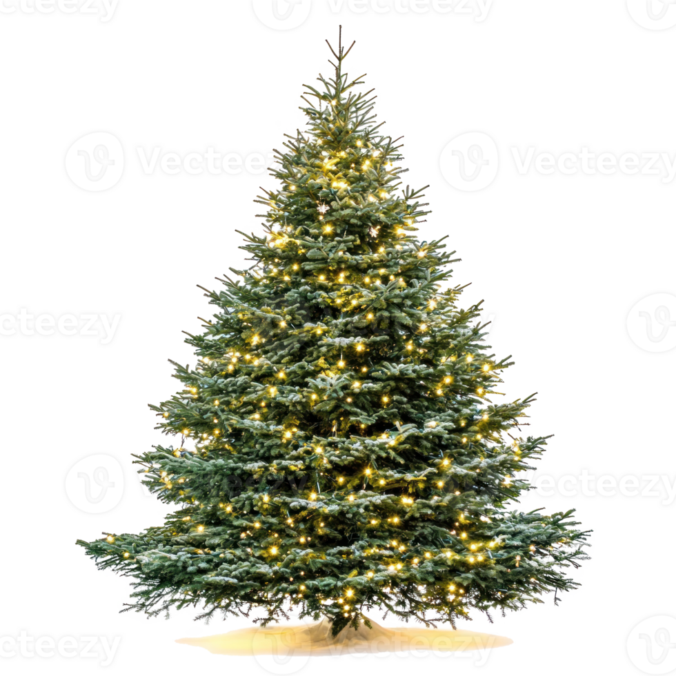 Illuminated Christmas tree front view isolate on transparent background png
