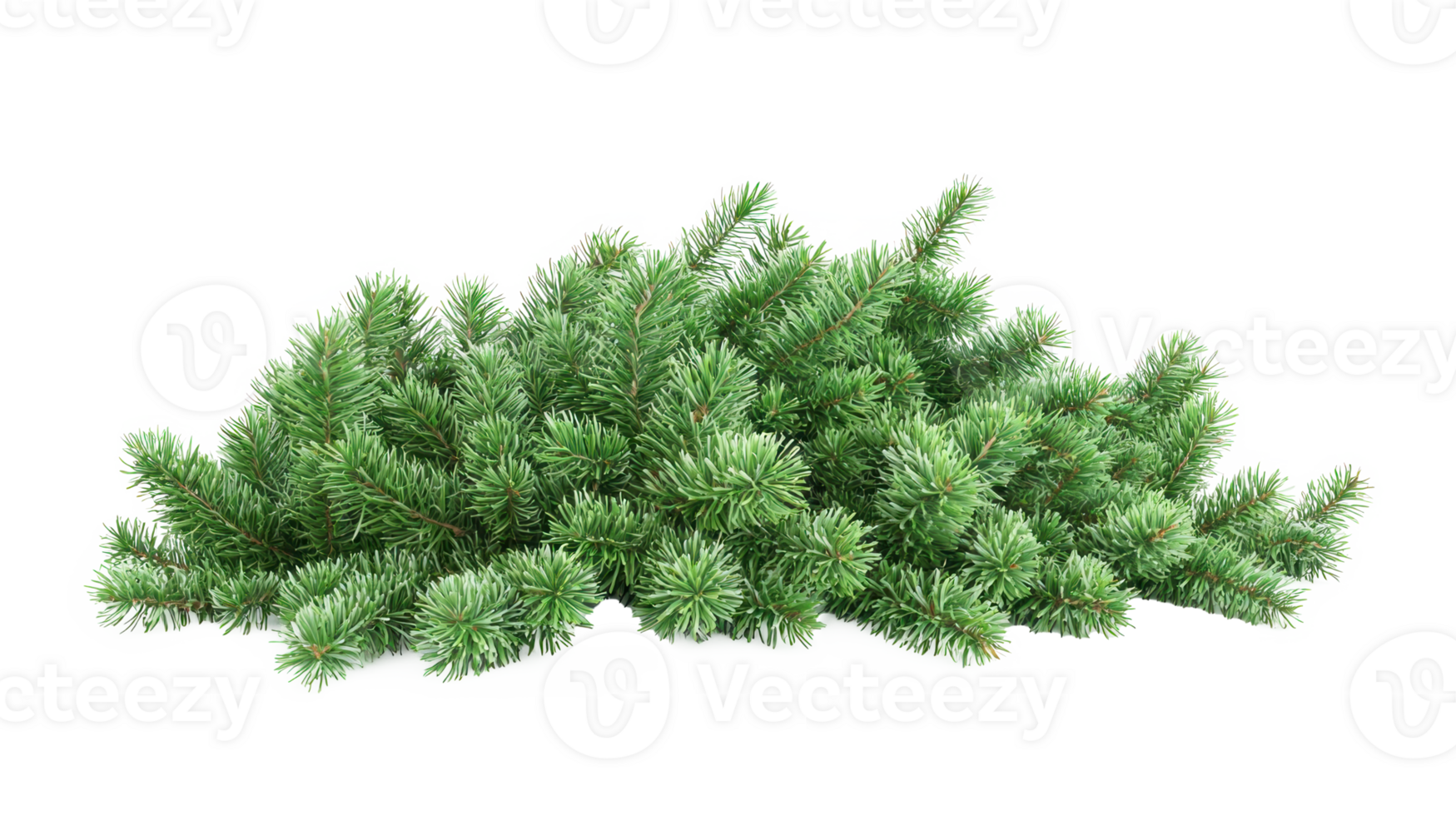 Green fir corner isolate on transparent background png