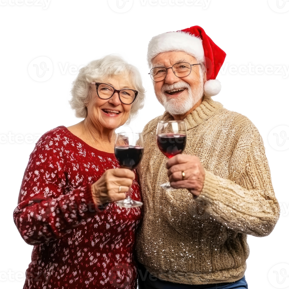Happy Senior couple celebrate Christmas isolate on transparent background png