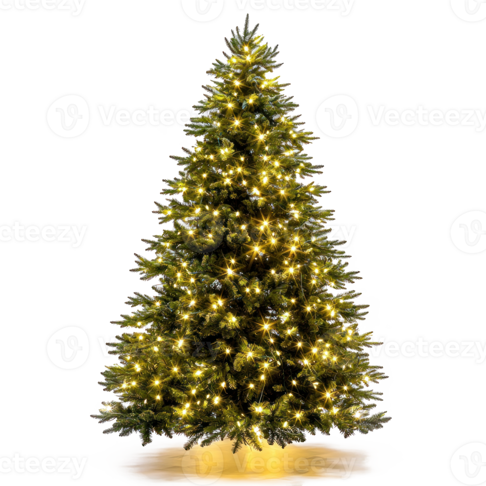 Illuminated Christmas tree front view isolate on transparent background png