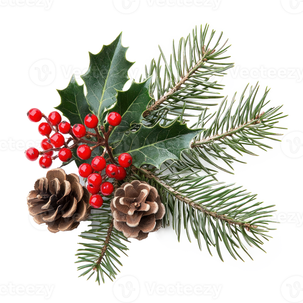 Christmas composition of pine branches with red berries, holly and pine cones isolate on transparent background png
