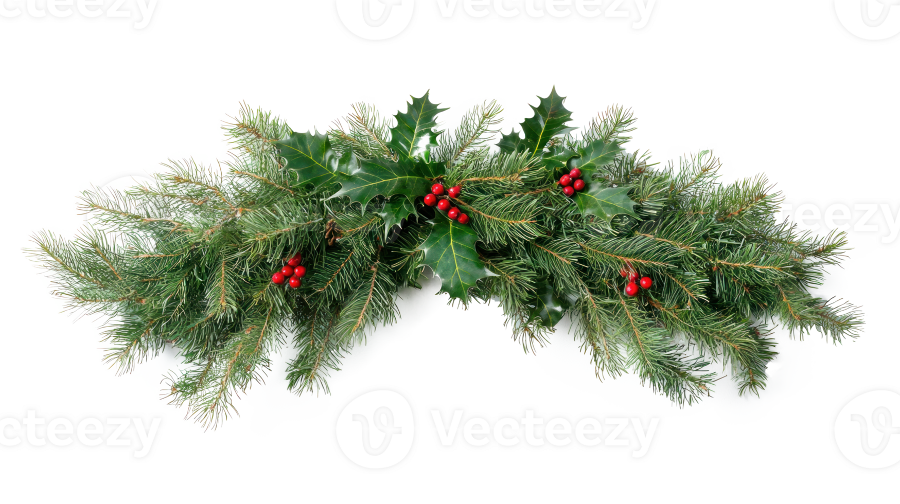 Christmas pine and holly swag isolate on transparent background png
