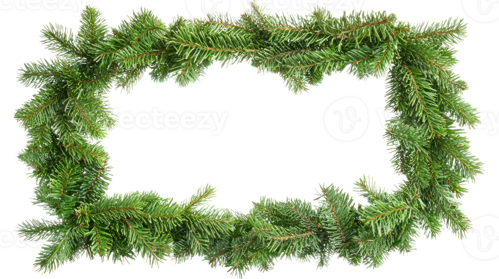 Christmas frame made of green fir isolate on transparent background png