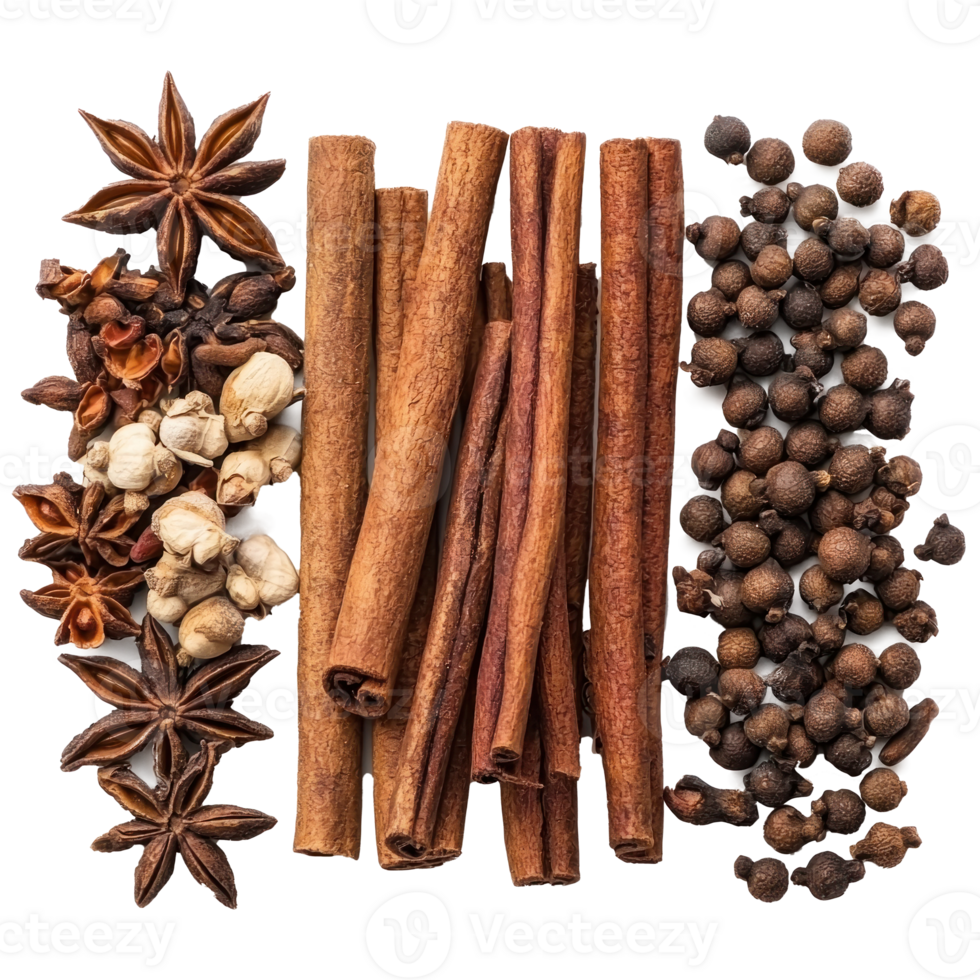 Cinnamon, anise and cloves front view isolate on transparent background png