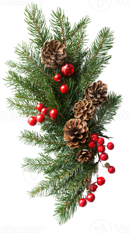 Christmas arrangement of evergreen twigs isolate on transparent background png