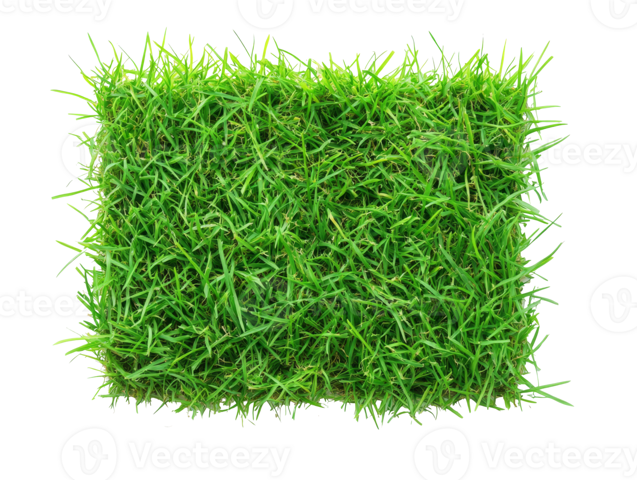 Green grass mat for landscaping png