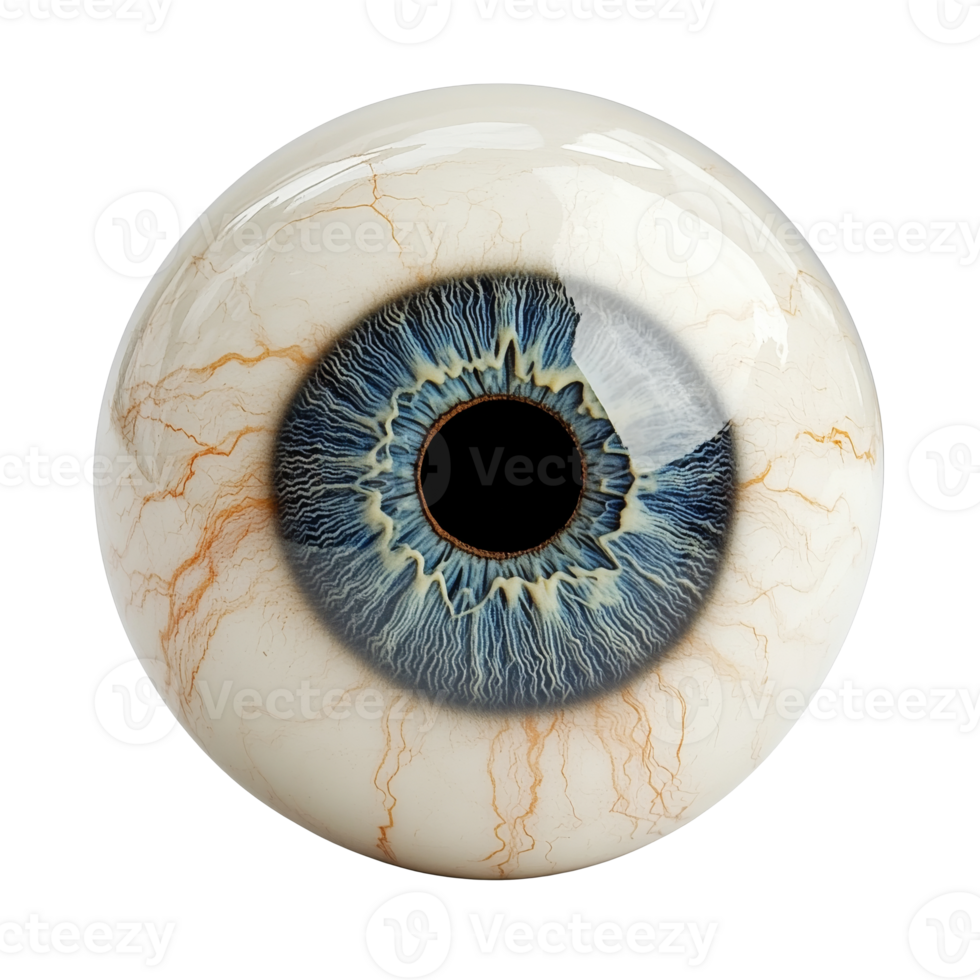 Intricate human eye model design png