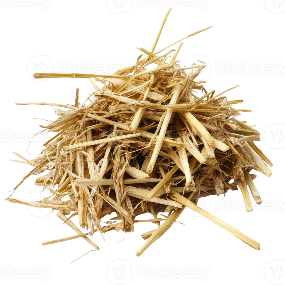 Pile of dry straw gathered in a farmyard png