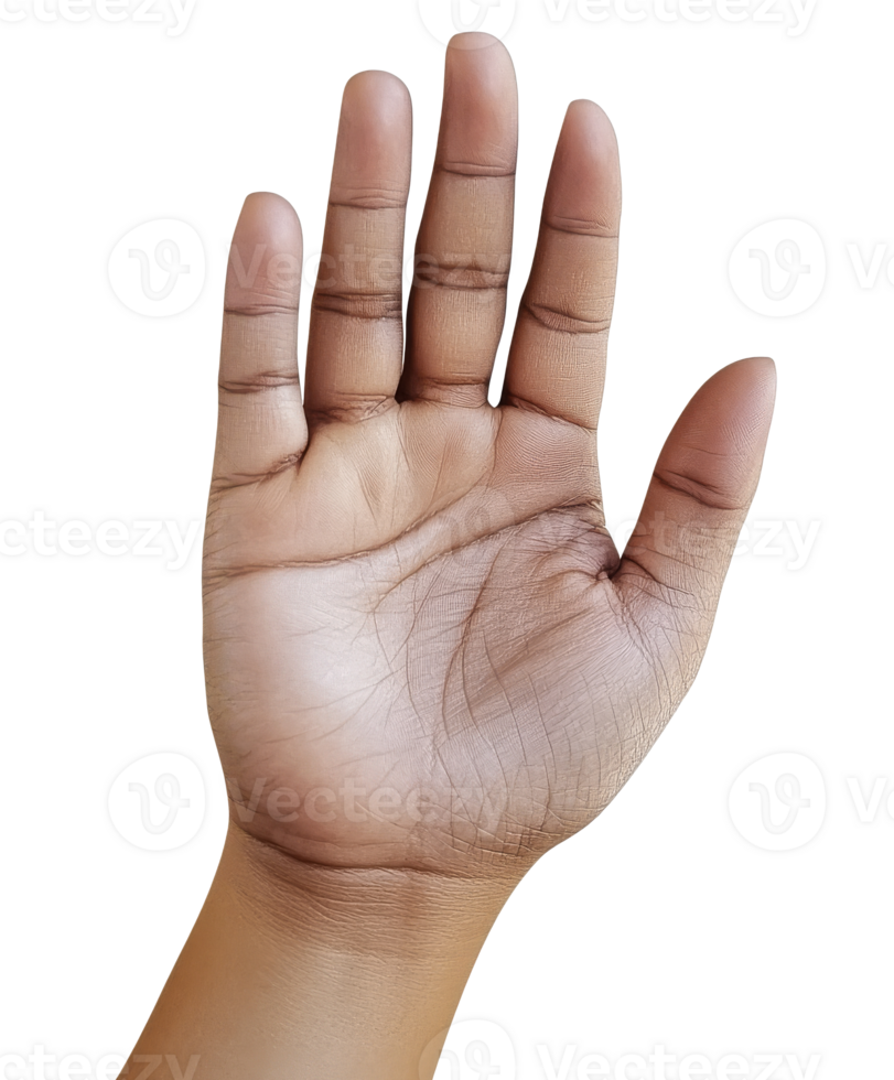 Open hand showing palm with fingers extended png