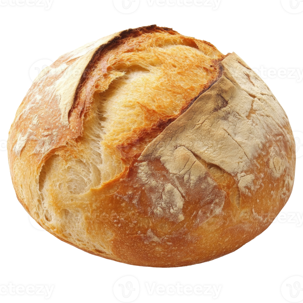 Freshly baked round sourdough bread loaf png