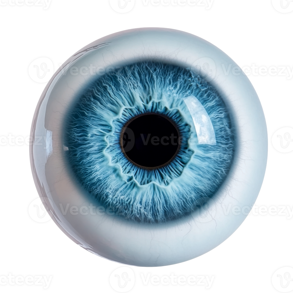 Intricate blue eye with vibrant detail and texture png