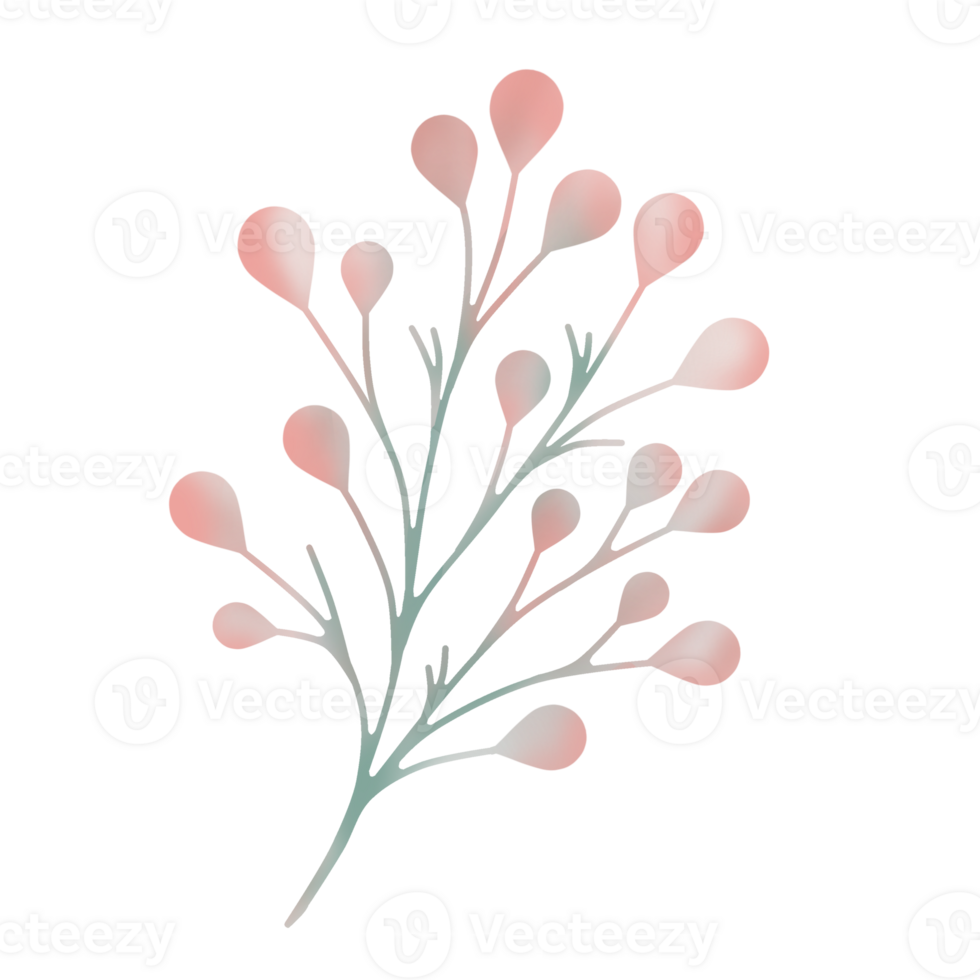 Pink branch illustration png