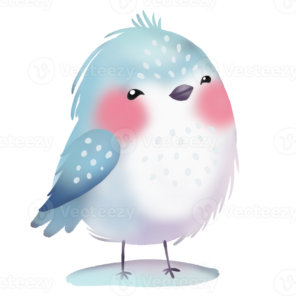 Funny bird illustration png