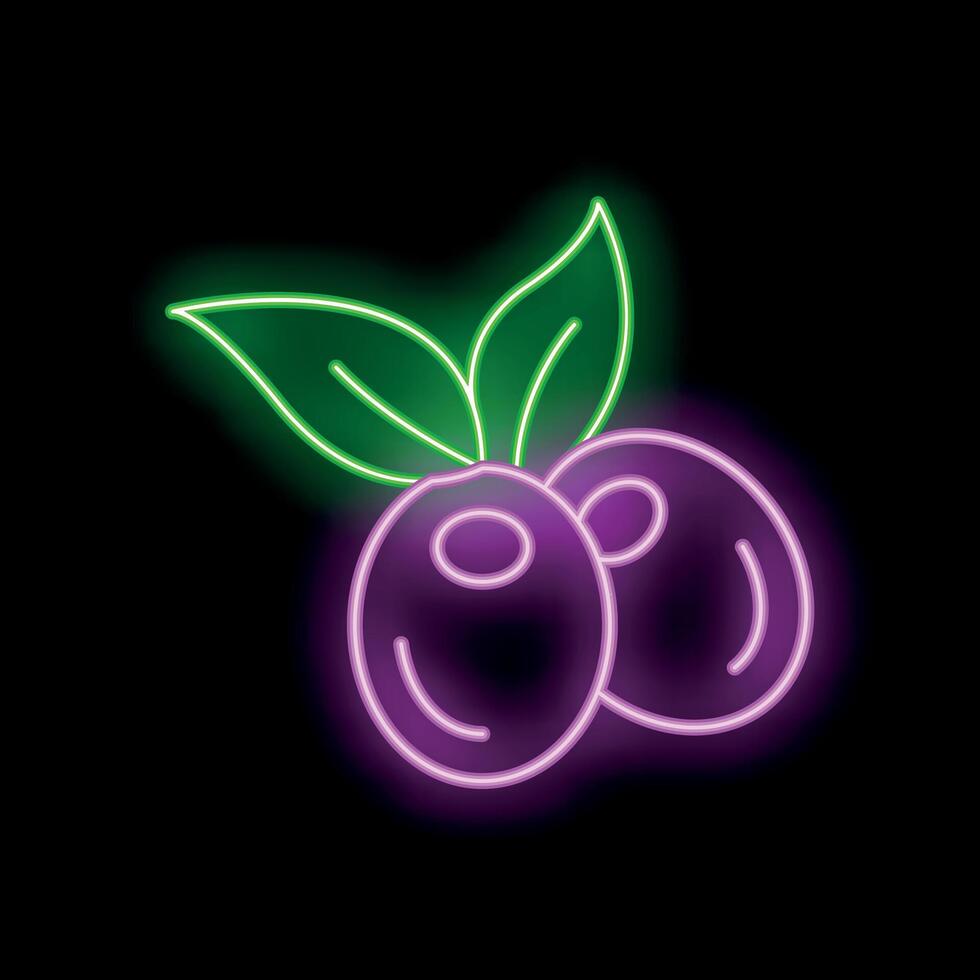 Neon sign illustrating two ripe olives with leaves on black background vector