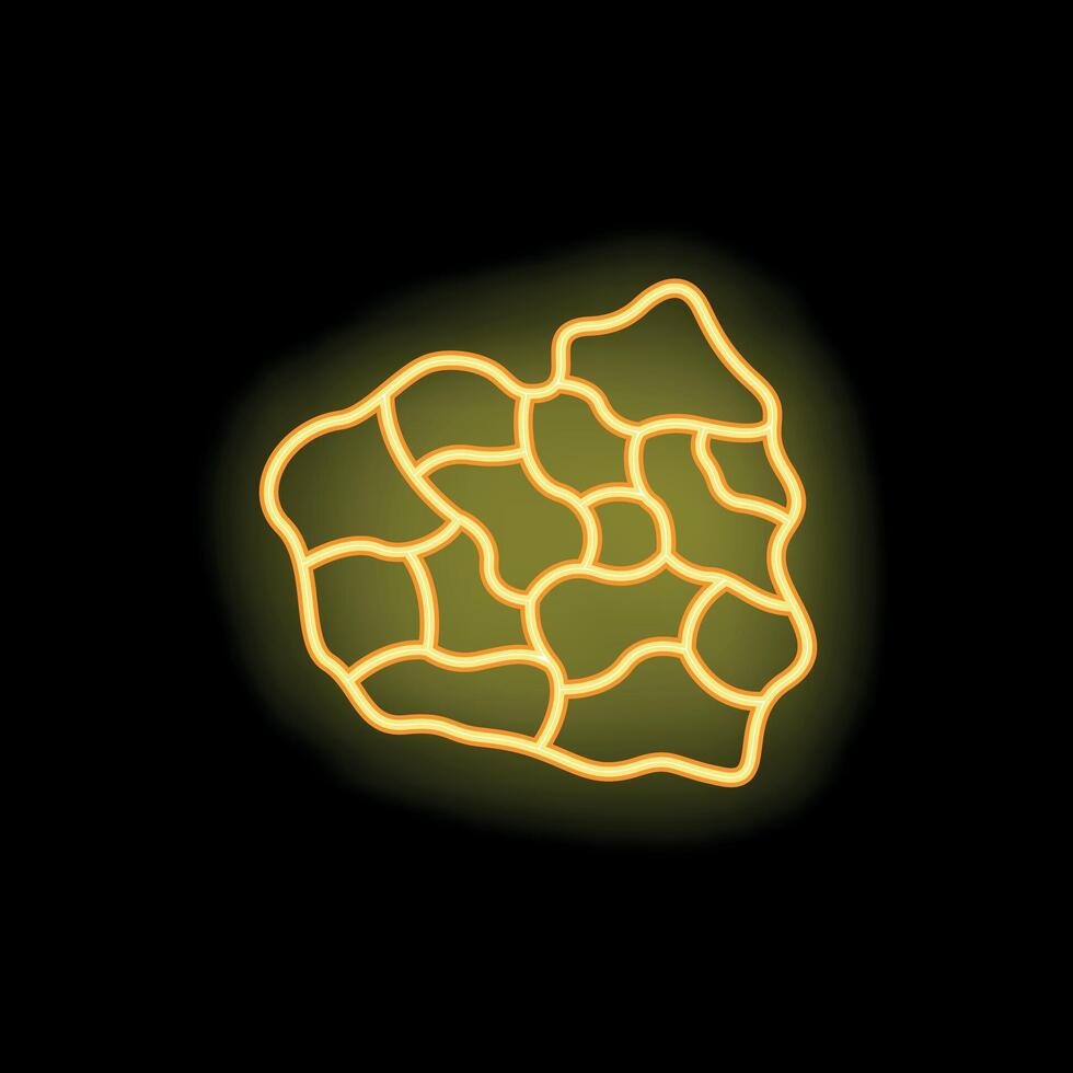 Glowing neon map of poland with administrative divisions vector