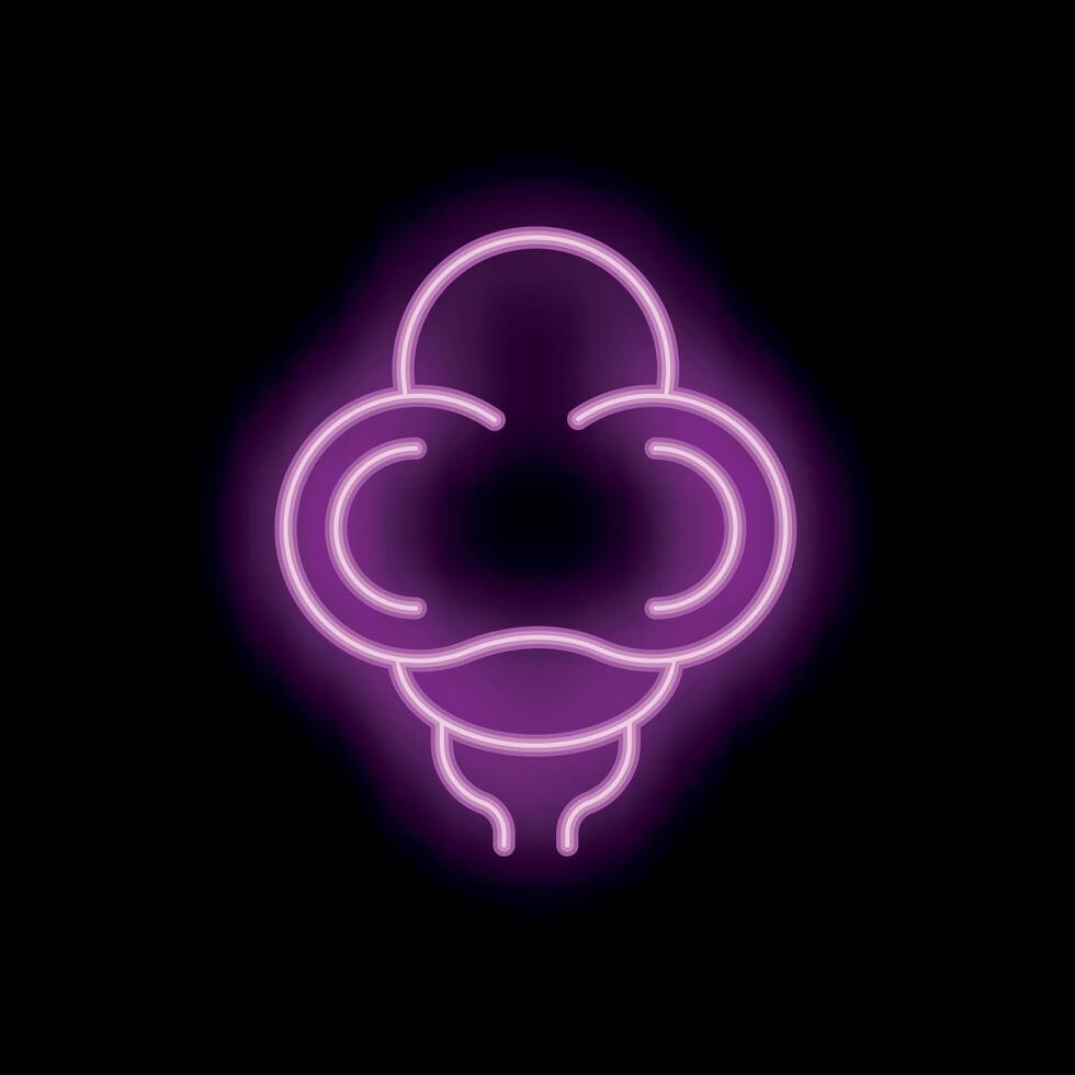 Glowing neon icon of human ovaries on black background vector