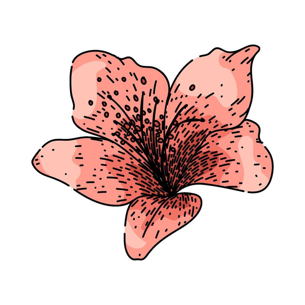 garden azalea sketch hand drawn vector