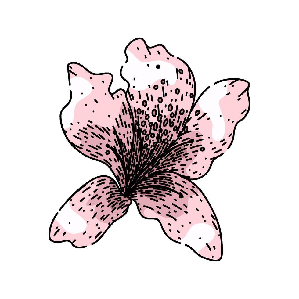 shrub azalea sketch hand drawn vector
