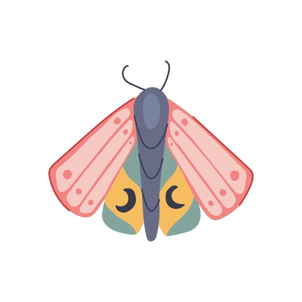 free boho moth cartoon illustration vector